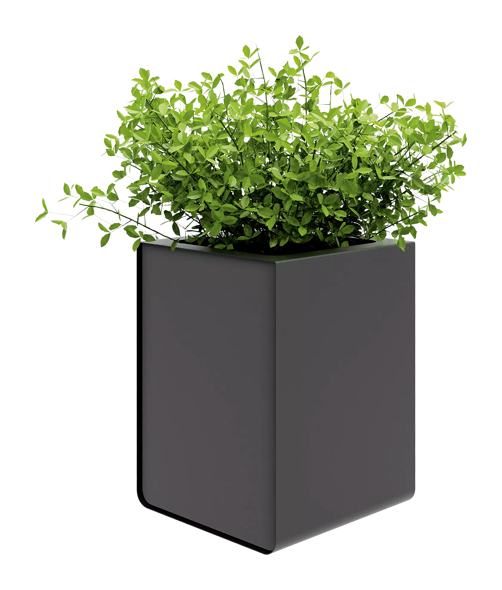 Vorschau: 2657_F_003 Vorschau: 2657_F_003